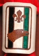LIGHT BRANDED EAGLE PATROL WOGGLE