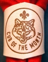 CUB OF THE MONTH NATURAL BRANDED WOGGLE