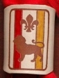 NATURAL BRANDED LION PATROL WOGGLE