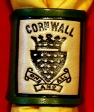 GREEN EMBOSSED CORNWALL WOGGLE