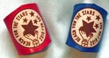 REACH FOR THE STARS 2010 WOGGLE 