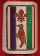 BRANDED WOODPECKER PATROL WOGGLE