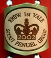 1ST EBBW VALE GOLD BRANDED WOGGLE