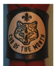 CUB OF THE MONTH DARK EMBOSSED WOGGLE