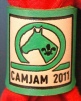 CAMJAM 2011 GREEN EMBOSSED WOGGLE