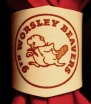 9TH WORSLEY BEAVERS BRANDED WOGGLE