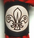 DARK BRANDED SCOUT WOGGLE