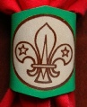 GREEN BRANDED SCOUT WOGGLE